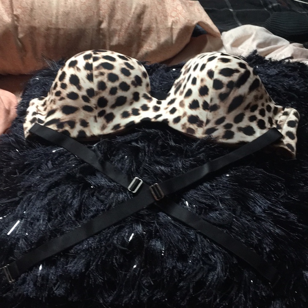 Ambrielle bra size 42C